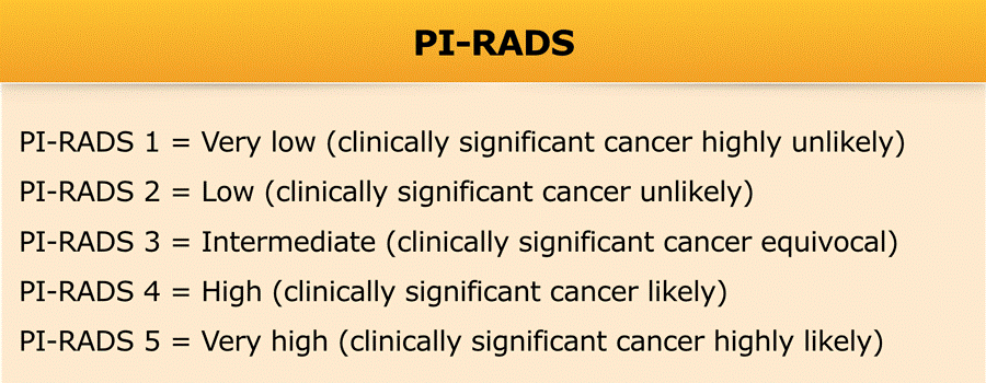 PI-RADS 