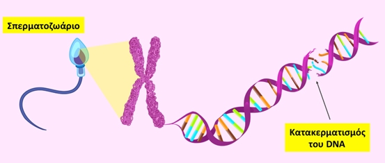 10. Κατακερματισμός του DNA