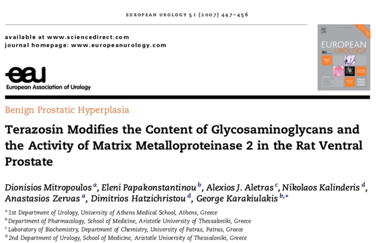 5. Terazosin Modifies the Content of Glycosaminoglycans and the Activity of Matrix Metalloproteinase 2 in the Rat Ventral Prostate